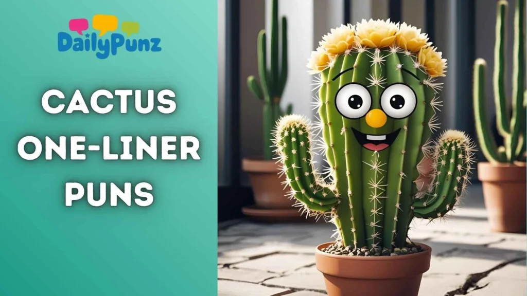 Sarcastic Cactus Zingers