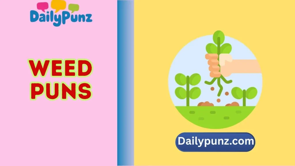 Funny Weed Wordplay