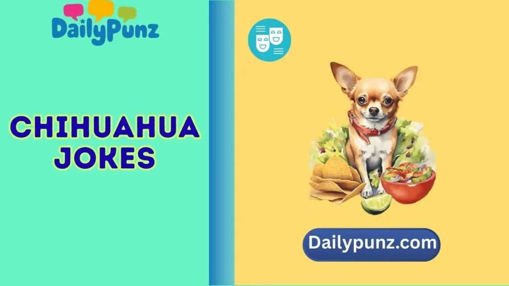 Hilarious Chihuahua Name Jokes