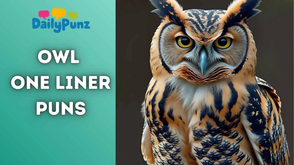 Owl One-Liner Puns