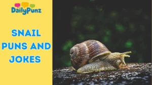 Snail Puns and Jokes
