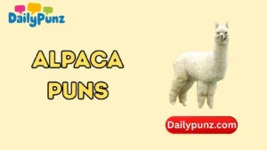 Alpaca Puns
