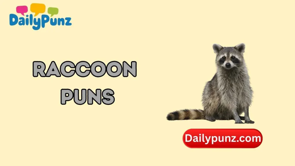 Raccoon Puns