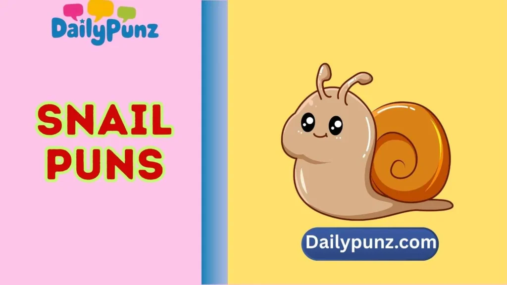 Silly Snail Captions