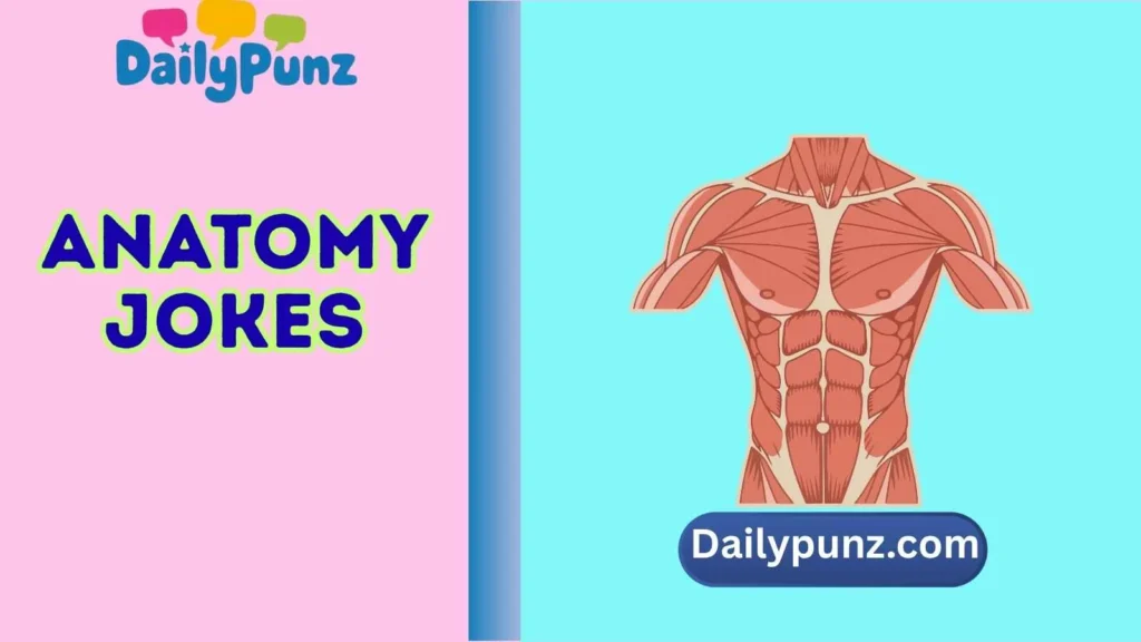 anatomy jokes