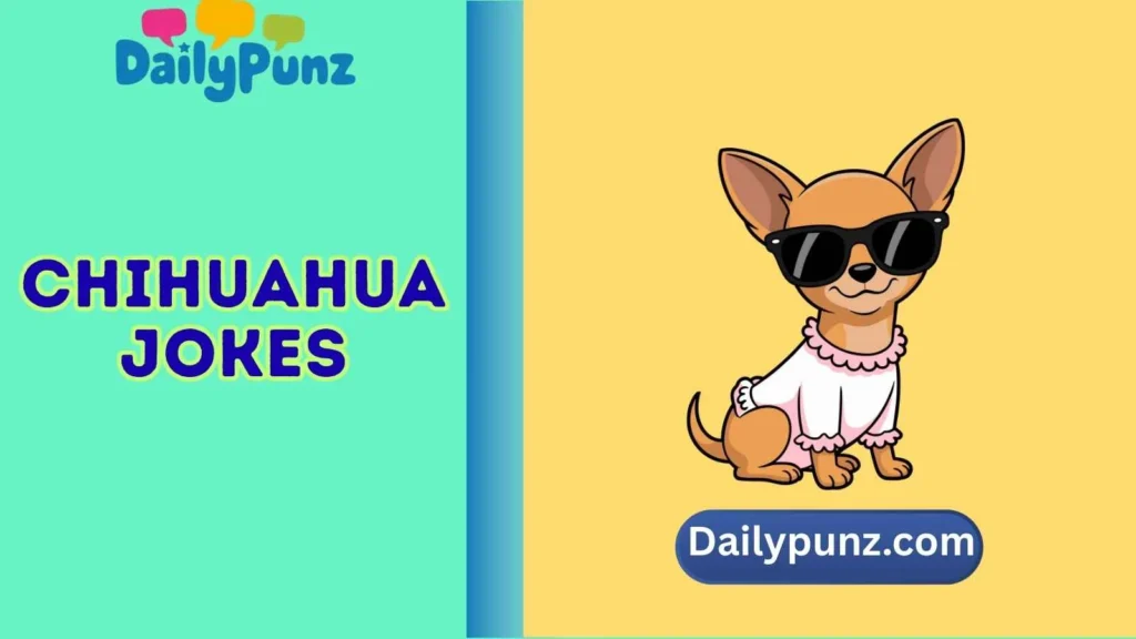 chihuahua jokes