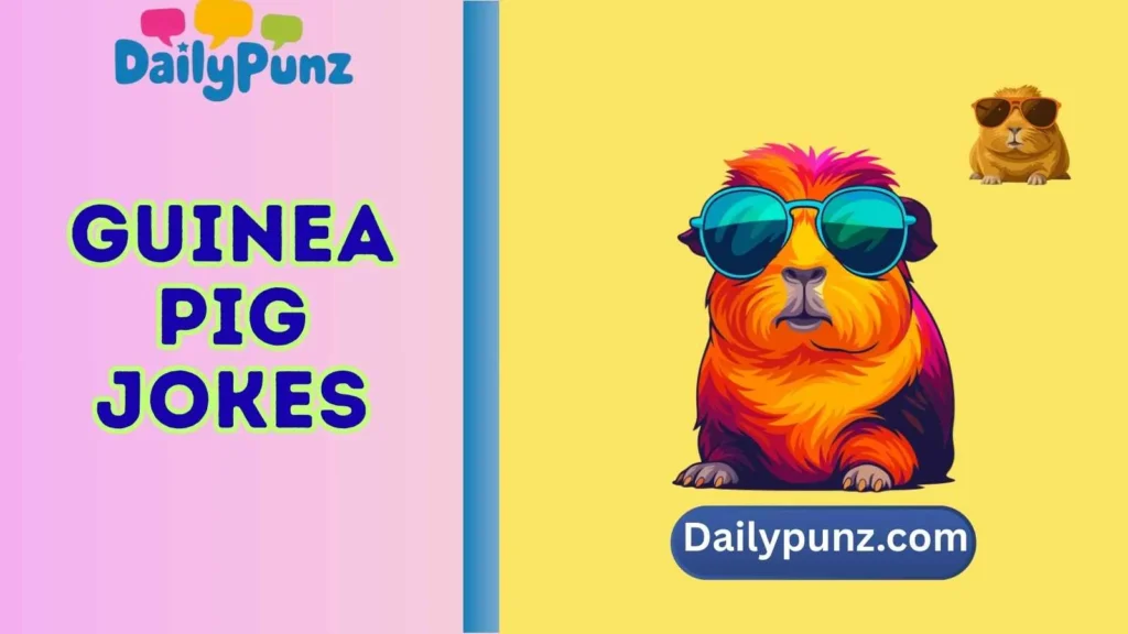 guinea pig jokes