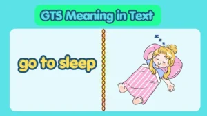 GTS Meaning in Text