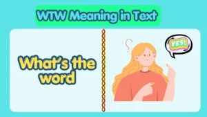 WTW Meaning in Text