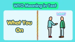WYO Meaning in Text